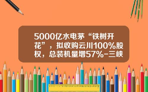 5000亿水电茅“铁树开花”，拟收购云川100%股权，总装机量增57%-三峡云川公司
