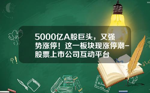 5000亿A股巨头，又强势涨停！这一板块现涨停潮-股票上市公司互动平台