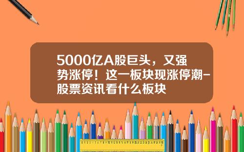 5000亿A股巨头，又强势涨停！这一板块现涨停潮-股票资讯看什么板块