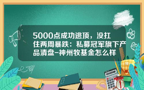5000点成功逃顶，没扛住两周暴跌：私募冠军旗下产品清盘-神州牧基金怎么样