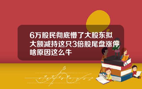 6万股民彻底懵了大股东拟大额减持这只3倍股尾盘涨停啥原因这么牛