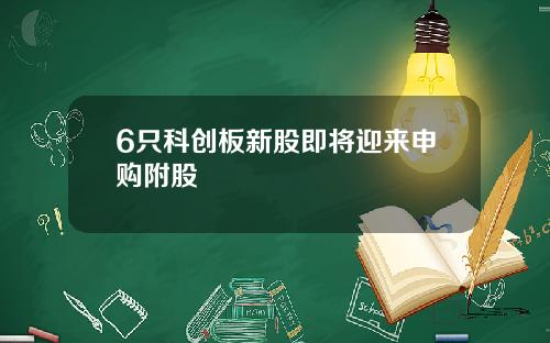 6只科创板新股即将迎来申购附股