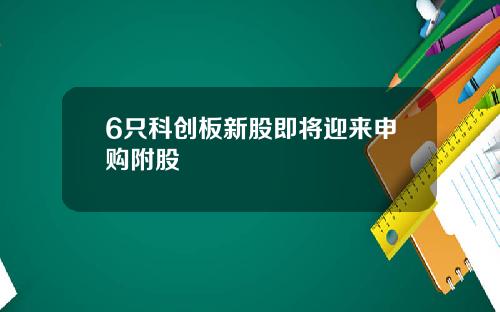 6只科创板新股即将迎来申购附股