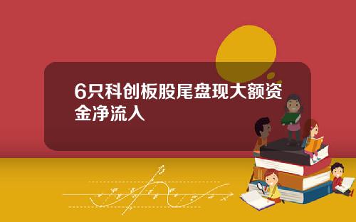6只科创板股尾盘现大额资金净流入