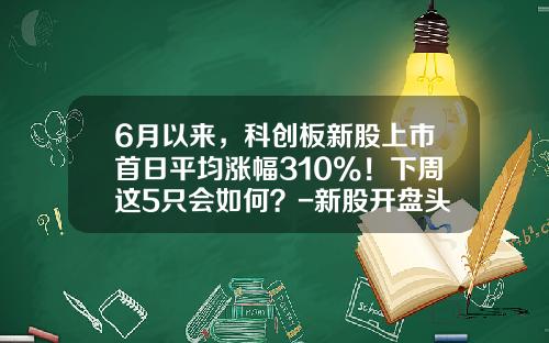 6月以来，科创板新股上市首日平均涨幅310%！下周这5只会如何？-新股开盘头一天最多涨多少
