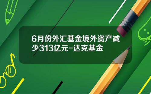 6月份外汇基金境外资产减少313亿元-达克基金