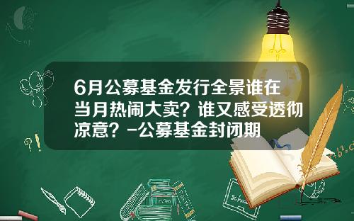 6月公募基金发行全景谁在当月热闹大卖？谁又感受透彻凉意？-公募基金封闭期