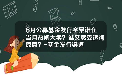 6月公募基金发行全景谁在当月热闹大卖？谁又感受透彻凉意？-基金发行渠道