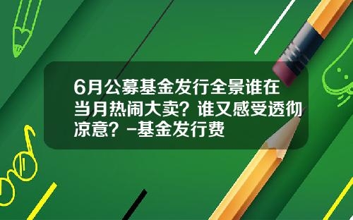 6月公募基金发行全景谁在当月热闹大卖？谁又感受透彻凉意？-基金发行费