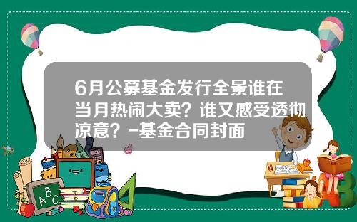 6月公募基金发行全景谁在当月热闹大卖？谁又感受透彻凉意？-基金合同封面