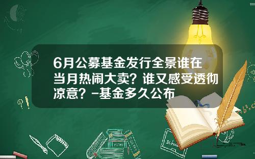 6月公募基金发行全景谁在当月热闹大卖？谁又感受透彻凉意？-基金多久公布