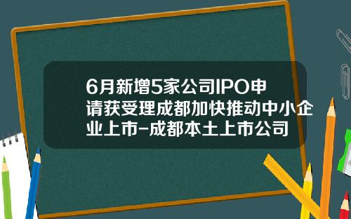 6月新增5家公司IPO申请获受理成都加快推动中小企业上市-成都本土上市公司