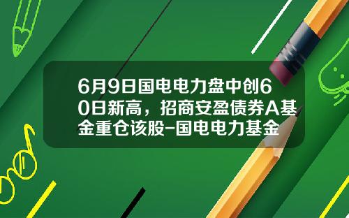 6月9日国电电力盘中创60日新高，招商安盈债券A基金重仓该股-国电电力基金