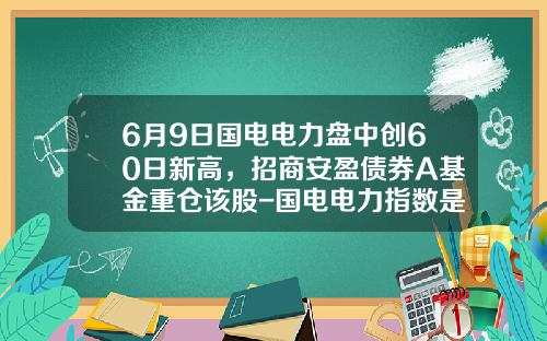 6月9日国电电力盘中创60日新高，招商安盈债券A基金重仓该股-国电电力指数是多少