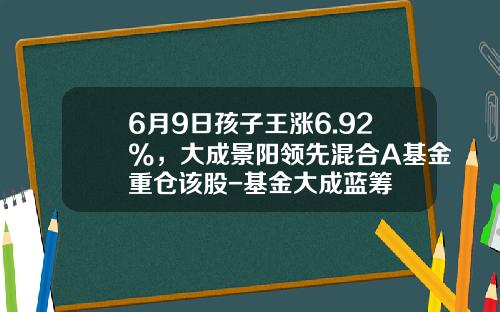 6月9日孩子王涨6.92%，大成景阳领先混合A基金重仓该股-基金大成蓝筹
