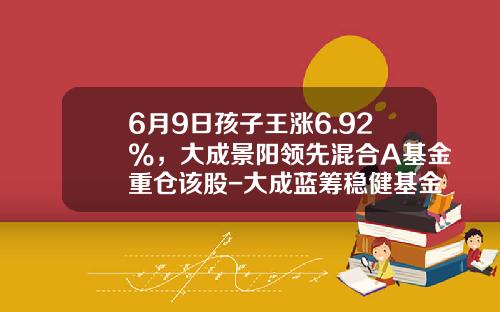6月9日孩子王涨6.92%，大成景阳领先混合A基金重仓该股-大成蓝筹稳健基金