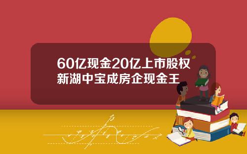 60亿现金20亿上市股权新湖中宝成房企现金王