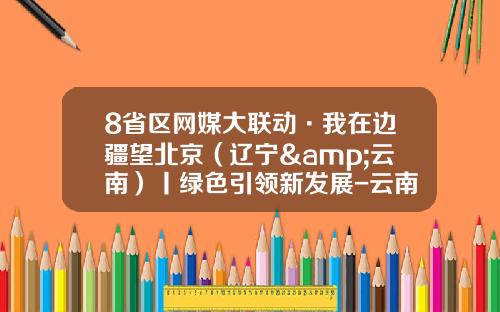 8省区网媒大联动·我在边疆望北京（辽宁&云南）丨绿色引领新发展-云南云铝泽鑫铝业有限公司