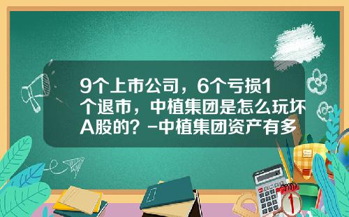 9个上市公司，6个亏损1个退市，中植集团是怎么玩坏A股的？-中植集团资产有多少