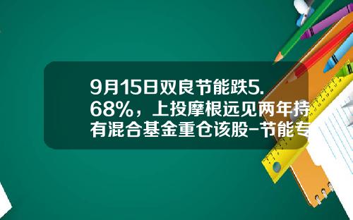 9月15日双良节能跌5.68%，上投摩根远见两年持有混合基金重仓该股-节能专项基金