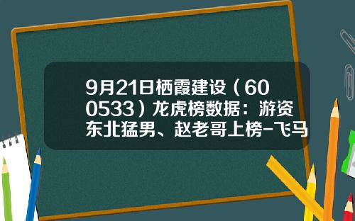 9月21日栖霞建设（600533）龙虎榜数据：游资东北猛男、赵老哥上榜-飞马基金