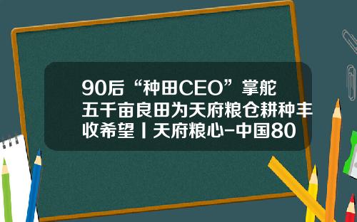 90后“种田CEO”掌舵五千亩良田为天府粮仓耕种丰收希望丨天府粮心-中国80后90后多少会种地