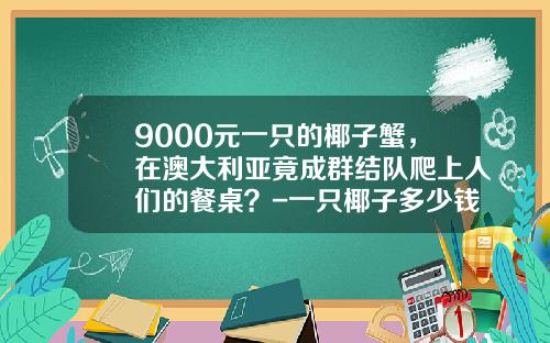 9000元一只的椰子蟹，在澳大利亚竟成群结队爬上人们的餐桌？-一只椰子多少钱