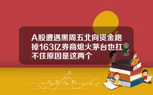 A股遭遇黑周五北向资金跑掉163亿券商熄火茅台也扛不住原因是这两个