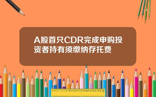 A股首只CDR完成申购投资者持有须缴纳存托费