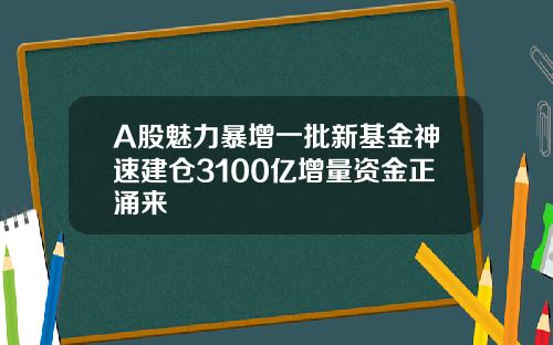 A股魅力暴增一批新基金神速建仓3100亿增量资金正涌来