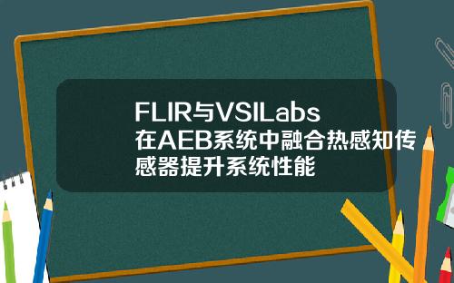 FLIR与VSILabs在AEB系统中融合热感知传感器提升系统性能