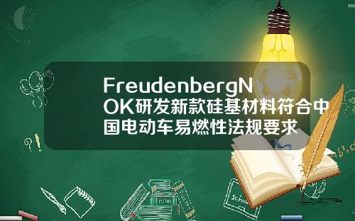 FreudenbergNOK研发新款硅基材料符合中国电动车易燃性法规要求