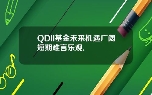 QDII基金未来机遇广阔短期难言乐观.
