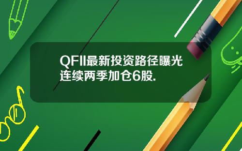 QFII最新投资路径曝光连续两季加仓6股.