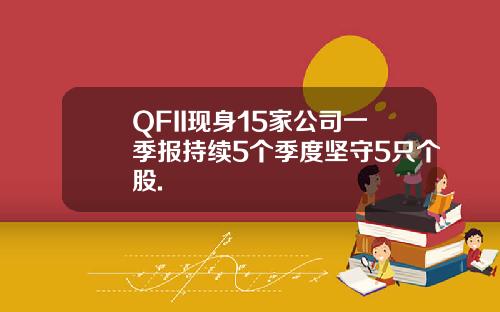 QFII现身15家公司一季报持续5个季度坚守5只个股.