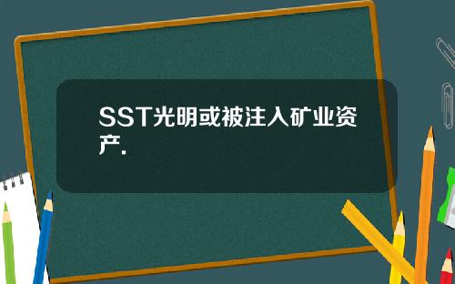 SST光明或被注入矿业资产.
