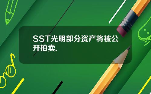 SST光明部分资产将被公开拍卖.