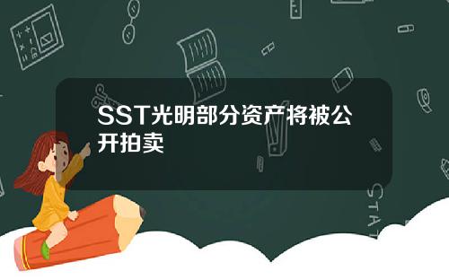 SST光明部分资产将被公开拍卖