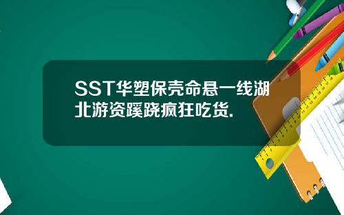 SST华塑保壳命悬一线湖北游资蹊跷疯狂吃货.