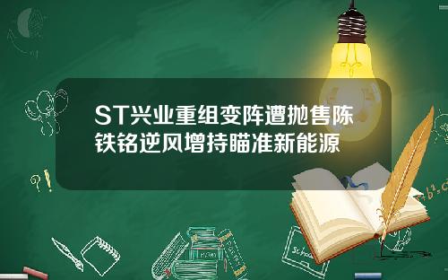 ST兴业重组变阵遭抛售陈铁铭逆风增持瞄准新能源