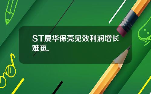 ST厦华保壳见效利润增长难觅.