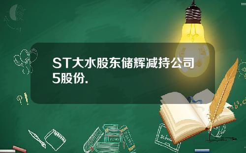 ST大水股东储辉减持公司5股份.
