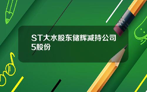 ST大水股东储辉减持公司5股份