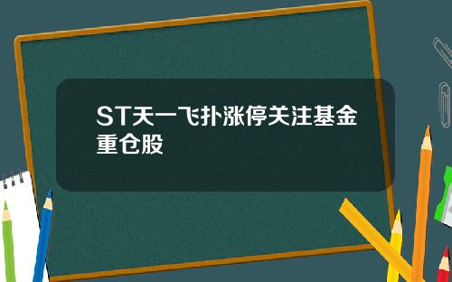 ST天一飞扑涨停关注基金重仓股