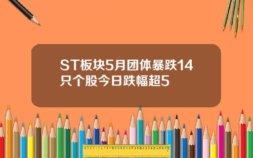 ST板块5月团体暴跌14只个股今日跌幅超5