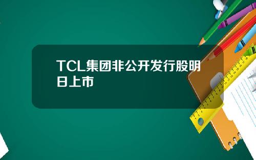 TCL集团非公开发行股明日上市