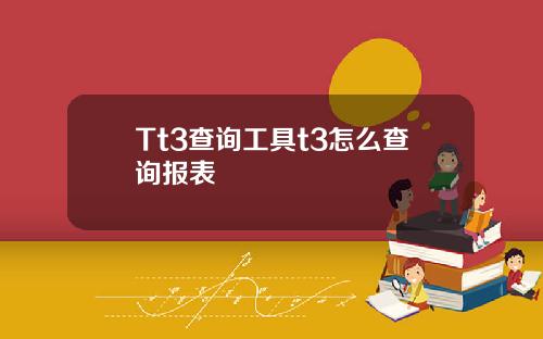 Tt3查询工具t3怎么查询报表