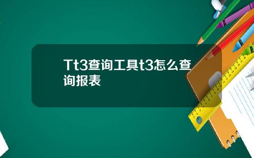 Tt3查询工具t3怎么查询报表