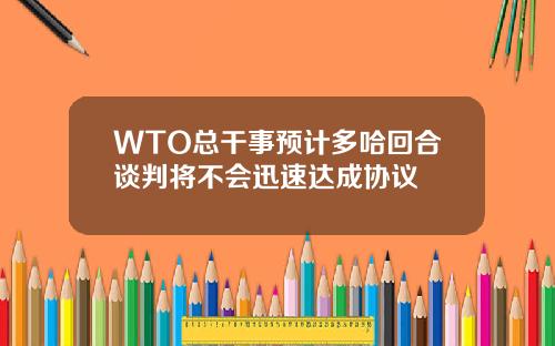 WTO总干事预计多哈回合谈判将不会迅速达成协议