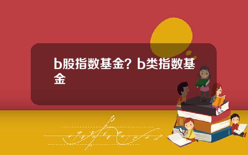 b股指数基金？b类指数基金